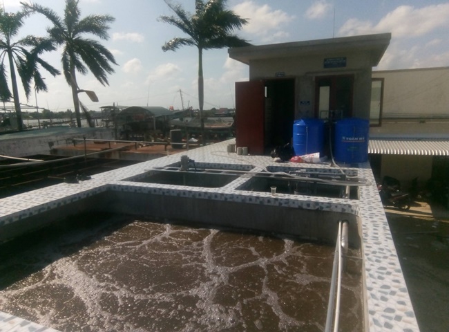 B&ugrave;n vi sinh v&agrave; cơ chế xử l&yacute; nước thải sinh học