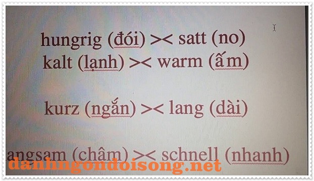 Cách học từ vựng ti&ecirc;́ng Đức