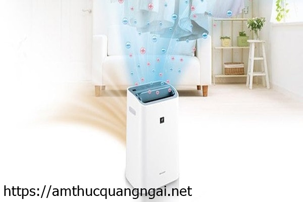 sử dụng m&aacute;y h&uacute;t ẩm tr&aacute;nh ẩm m&ocirc;c hiệu quả
