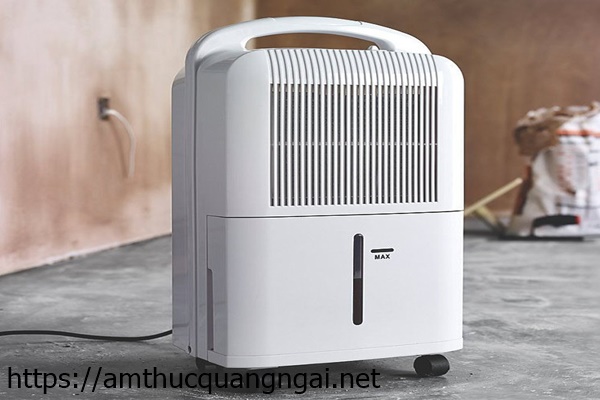 M&aacute;y h&uacute;t ẩm dạng ngưng tụ