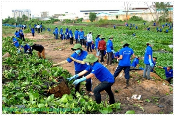 tr&ocirc;̀ng c&acirc;y xanh đ&ecirc;̉ bảo v&ecirc;̣ m&ocirc;i trường