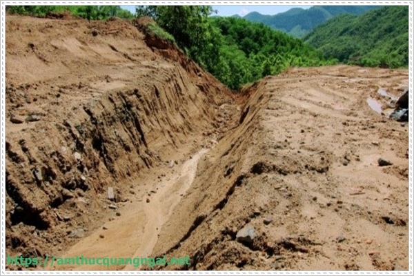 sự bi&ecirc;́n đ&ocirc;̉i khí h&acirc;̣u m&ocirc;i trường