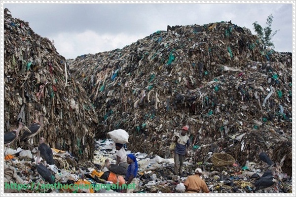 tái ch&ecirc;́ rác thải đ&ecirc;̉ bảo v&ecirc;̣ m&ocirc;i trường