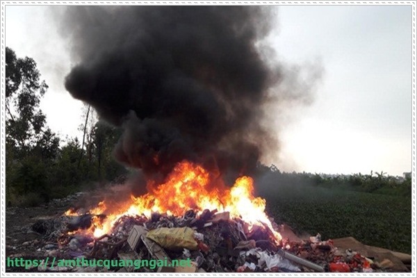 &ocirc; nhi&ecirc;̃m do cháy rừng