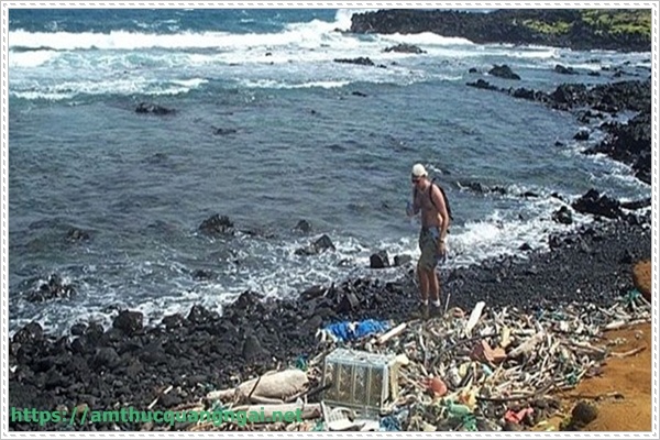 tác đ&ocirc;̣ng của bi&ecirc;́n đ&ocirc;̉i khí h&acirc;̣u