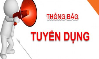 Tuyển dụng thực tập sinh SEO quận 3 lương cao