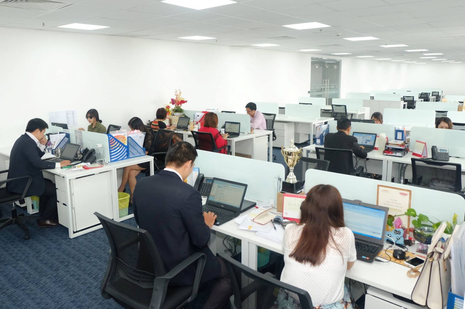 quyền lợi ứng tuyển thực tập sinh seo tphcm